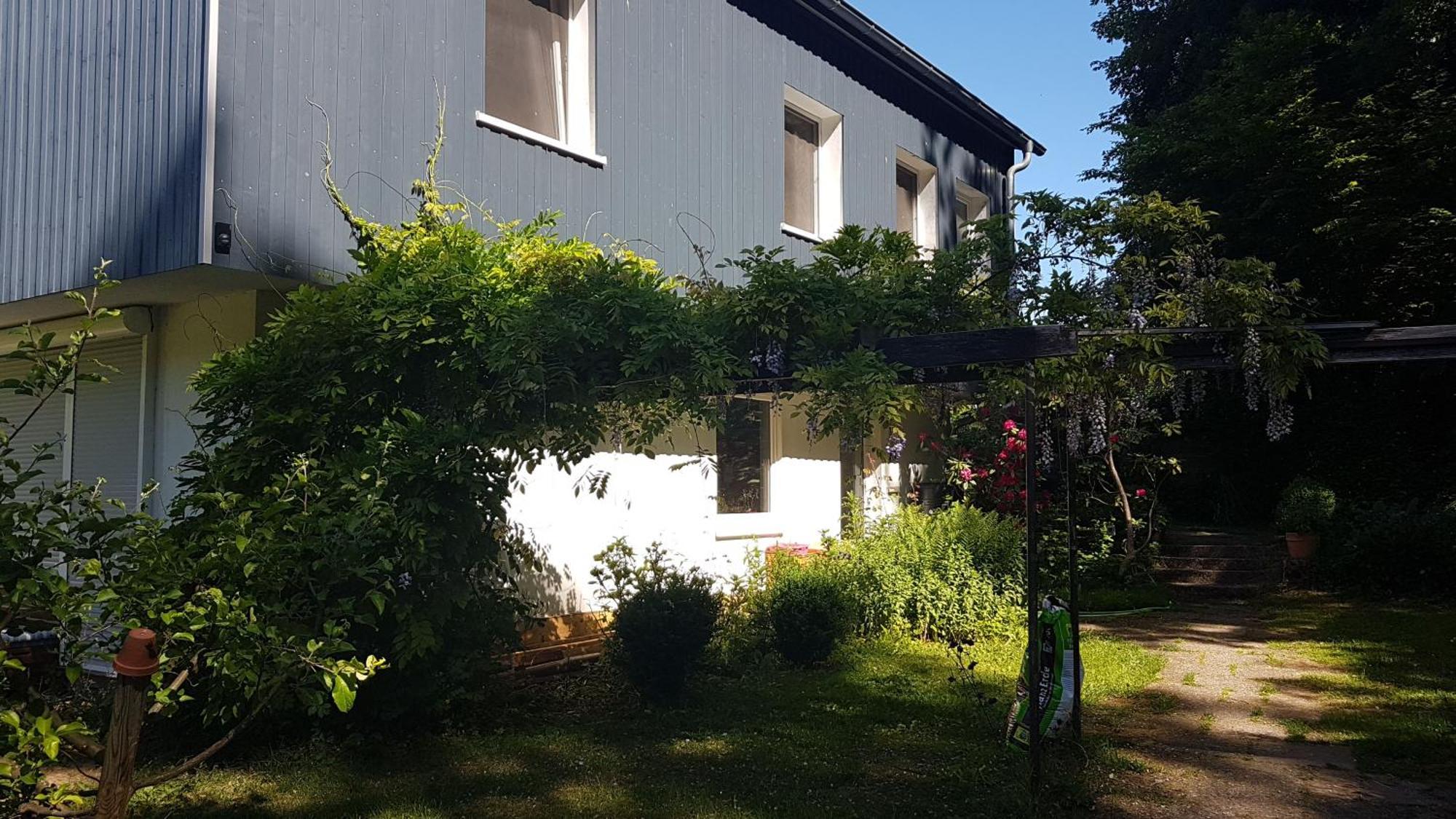 Ruhige Ferienwohnung „Suedhang“ Direkt Am Wald Bad Arolsen Εξωτερικό φωτογραφία